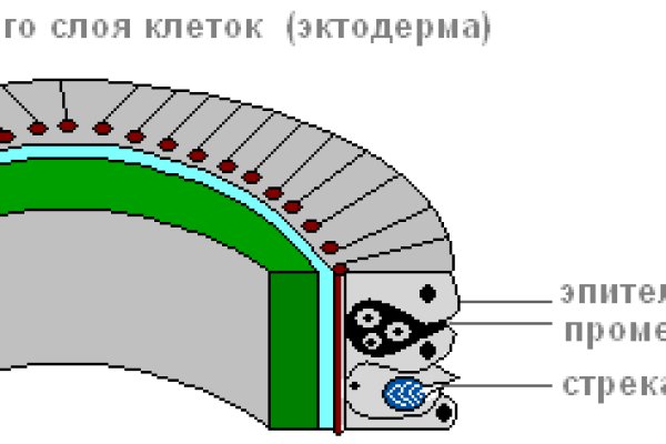 Кракен это сайт vtor run